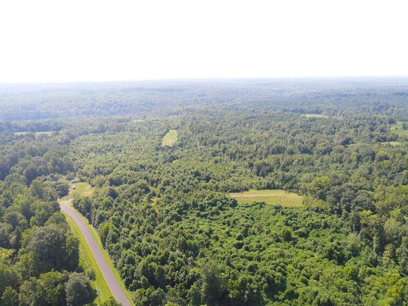 dji_fly_20250729_104406_786_1753800278254_photo