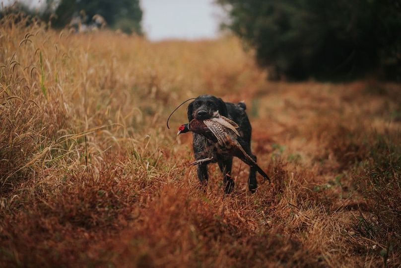 Orvis Listing Photos46