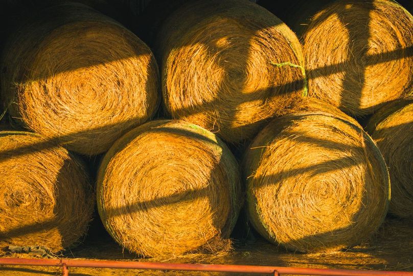 DJI_20260227073959_0099_D