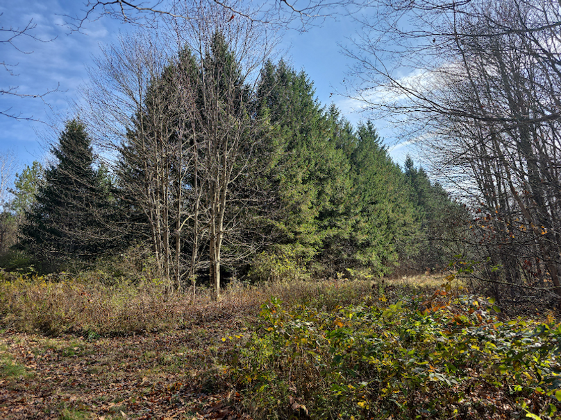 photo_e295008d-1342-46ee-b04e-2479310104a3