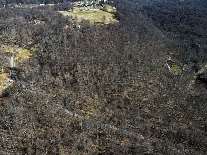 dji_fly_20240304_103134_819_1709566310783_photo