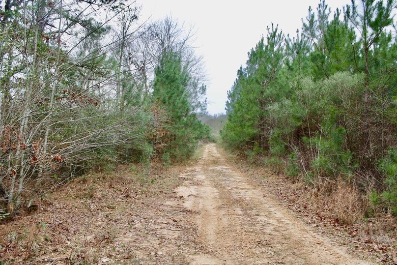 B3D57822-3B15-45D8-A702-7DFA9048CC90_1_105_c