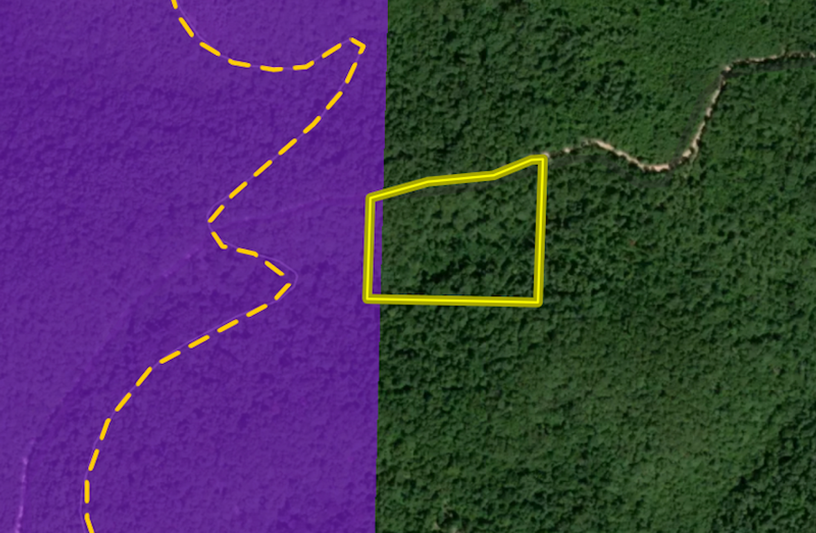 Screenshot 2025-02-17 at 11.52.05 AM