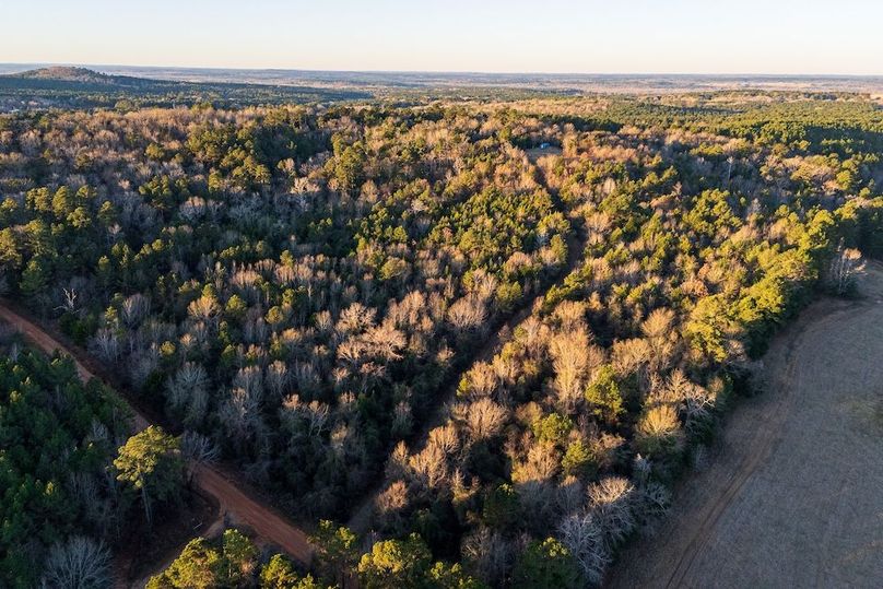 DJI_20260116075030_0007_D