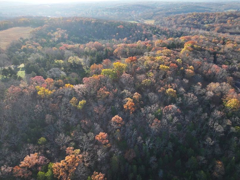 DJI_20251112080859_0877_D