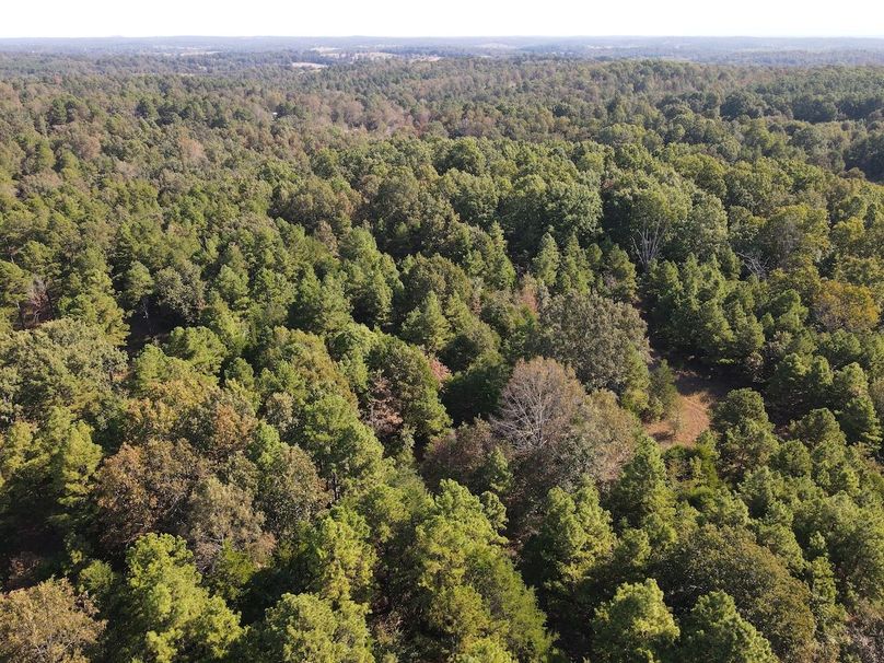 dji_fly_20250902_095226_714_1756824755589_photo