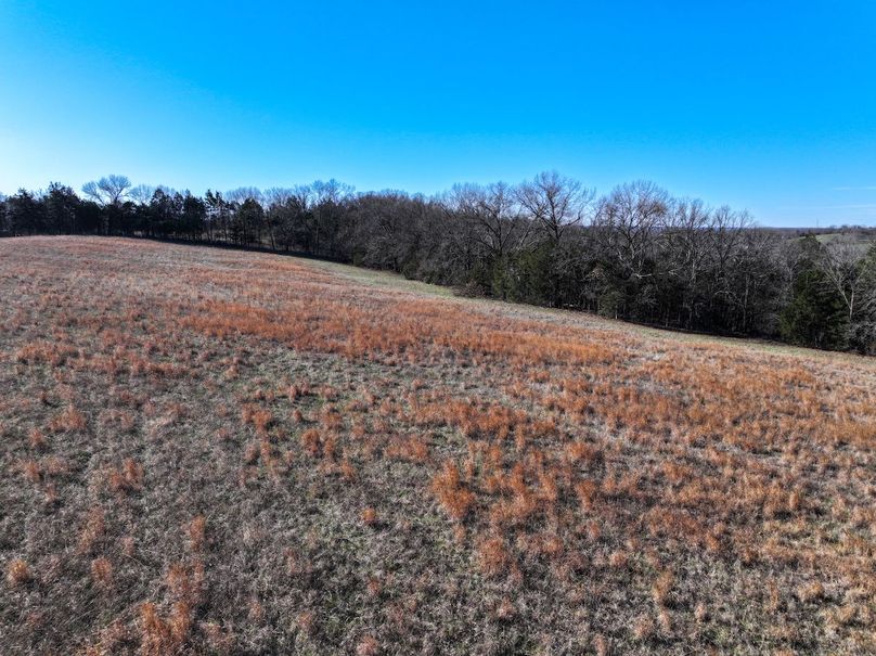 DJI_20260317093646_0986_D