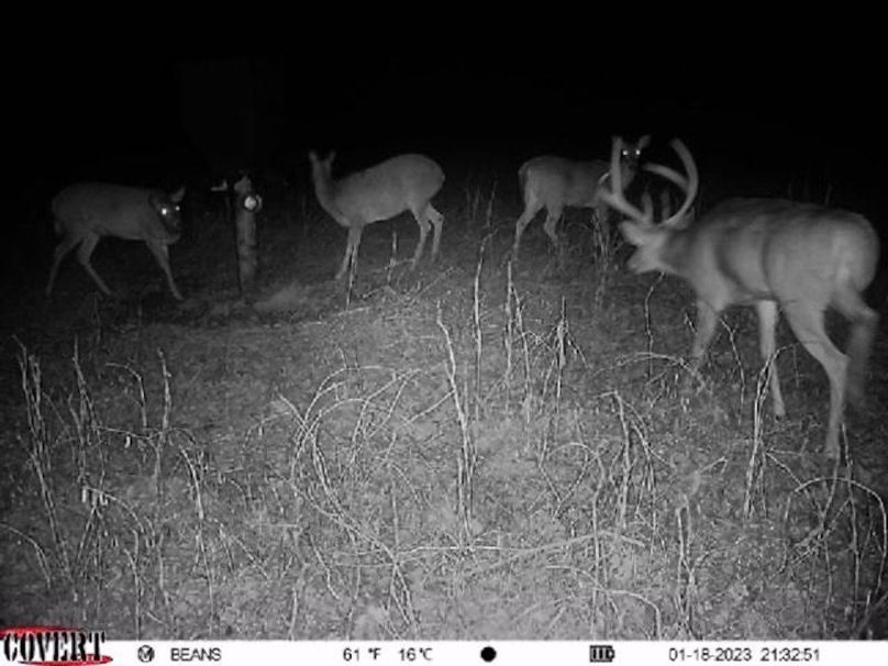 trailcam4