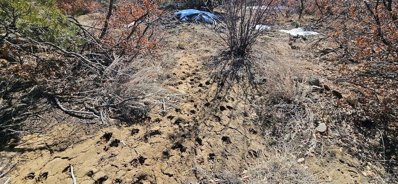 20240220_111433 - Copy