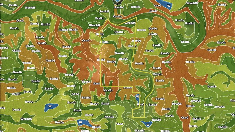 Screenshot 2026-05-13 115538