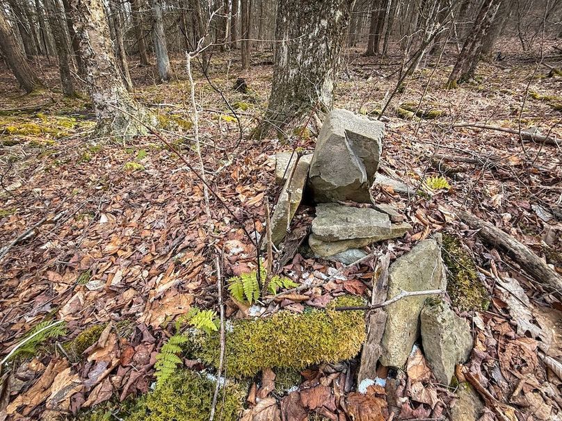 Chemung_59.65_Kocsis_photos_44