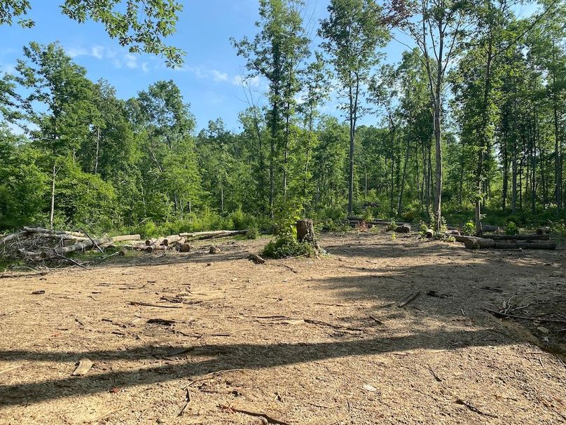 004 the beginning stages of the cleared out pasture area copy