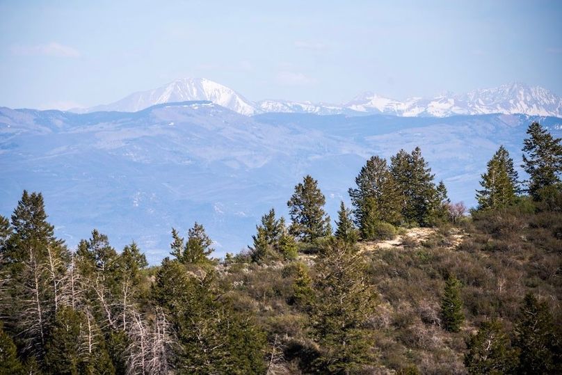 Copy of Copy of DSC_9787