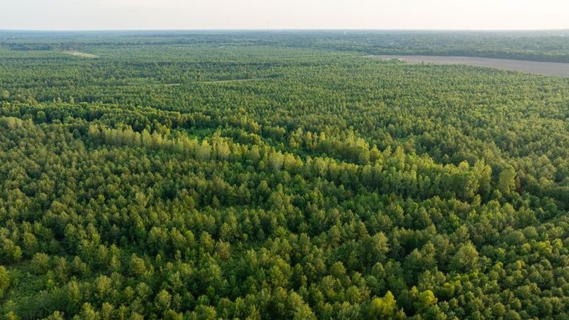 MadisonParLa1372-068