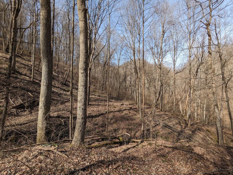 PXL_20230301_165249666