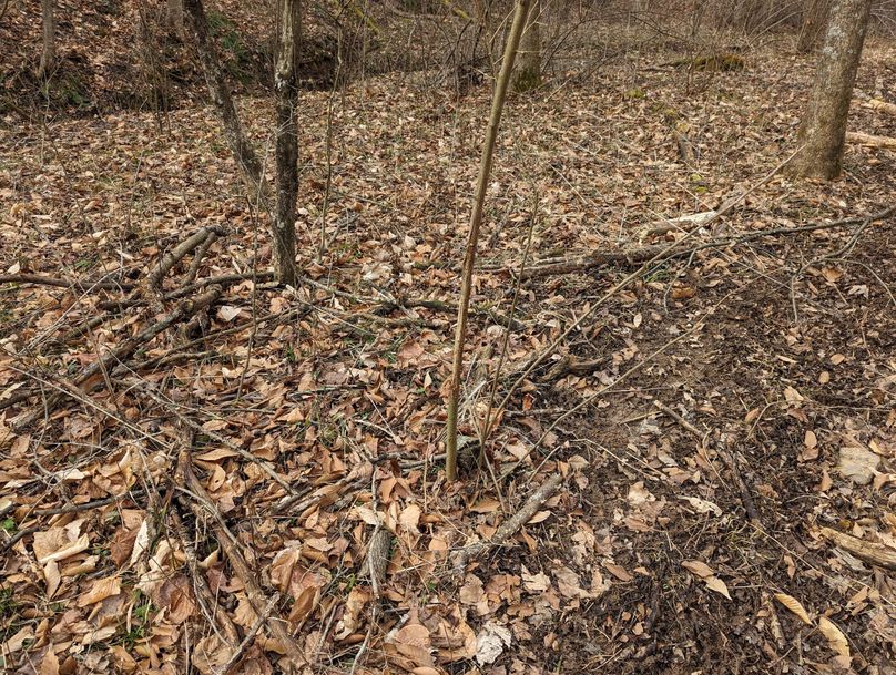 PXL_20230213_160933615