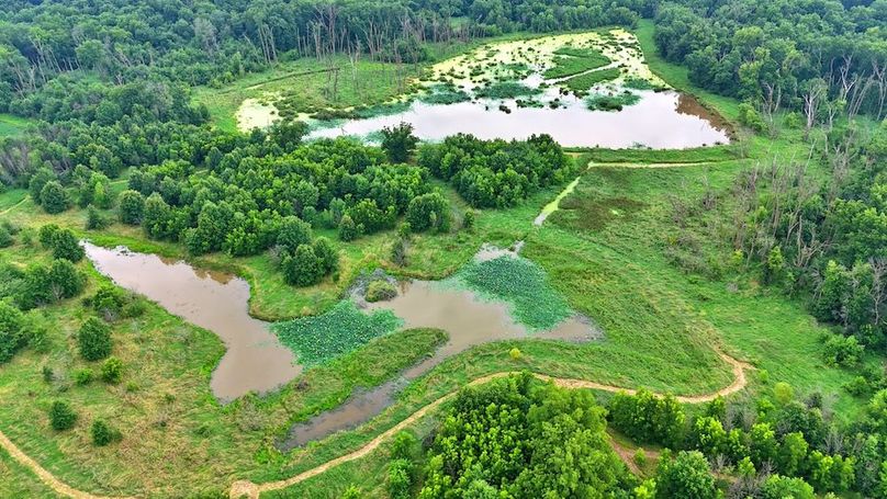 dji_fly_20250726_094814_0012_1753722834316_photo