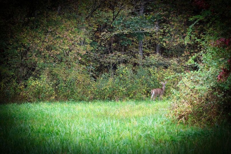 007 she didn_t seem to bothered by me taking pictures