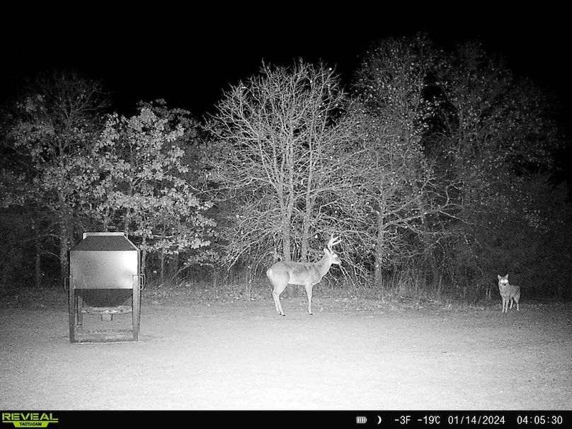 864049057007223-100-4-01152024002450-HD-SYFW6909