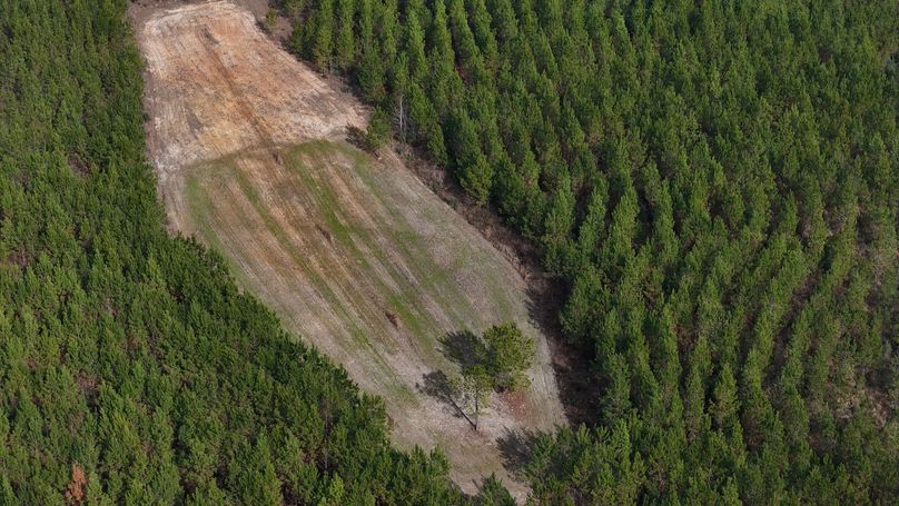 DJI_20231214123356_0007_D