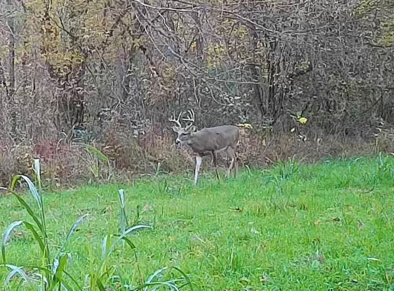 31FB9086-6161-4E56-AE22-AB4ACFDD75DD_1_201_a