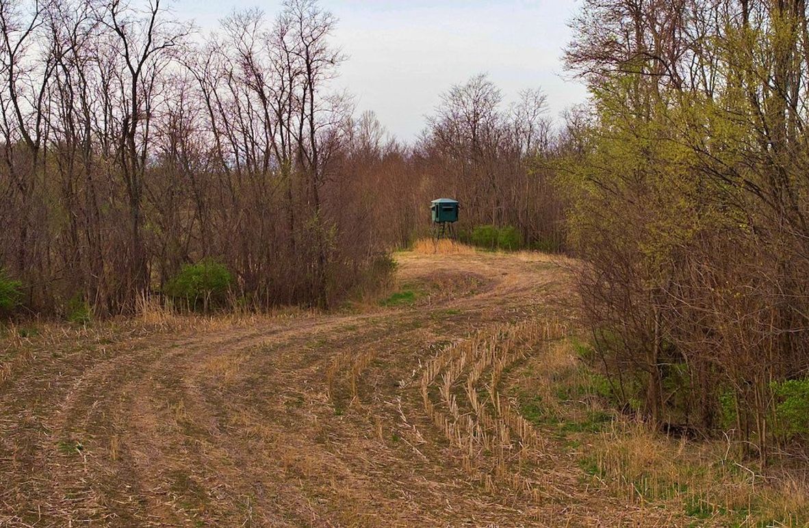 3 DJI_20250331081553_0643_D