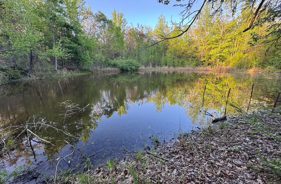 Tallahatchie 44 Newman (Crowden) Wide-4
