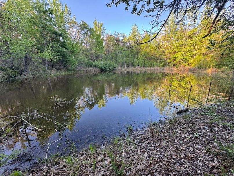 Tallahatchie 44 Newman (Crowden) Wide-4