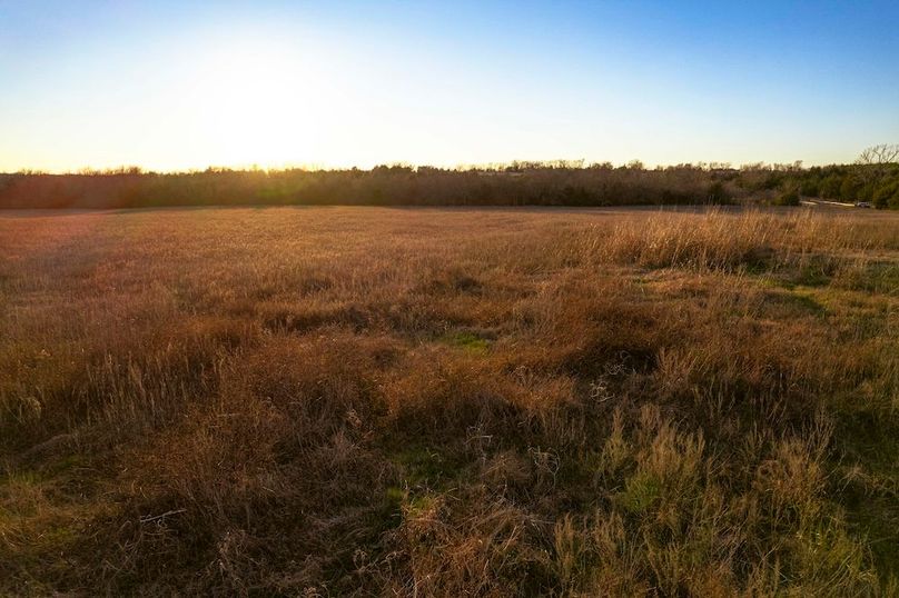 Lamar County 76.5 acres (21 of 23)