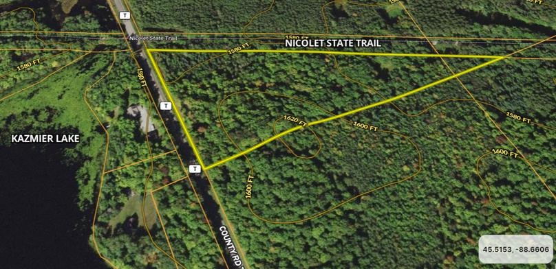 Forest13.55Treffinger closeaerial