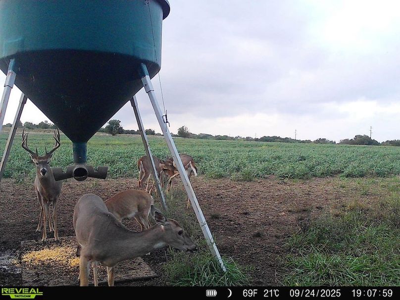 860516064952926-90-3-09252025052810-HD-SYFW0992