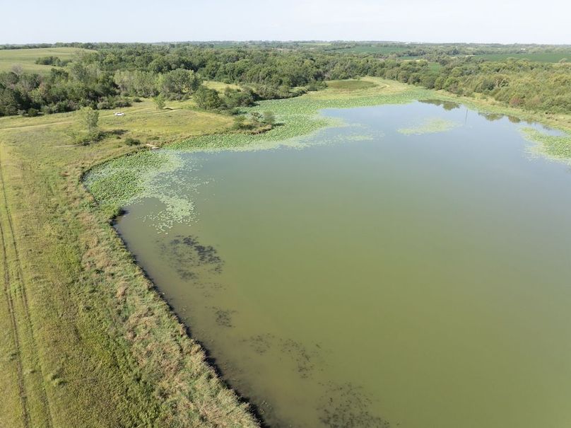 DJI_20250729095353_0032_D