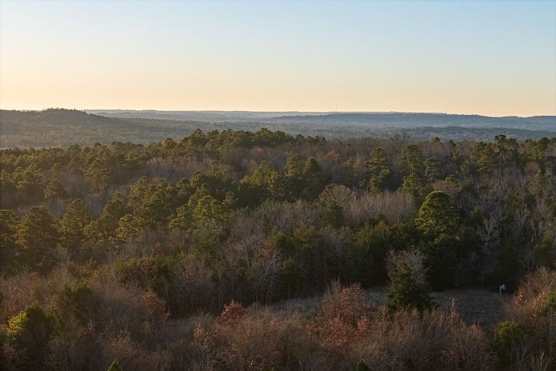 DJI_20260116075238_0015_D