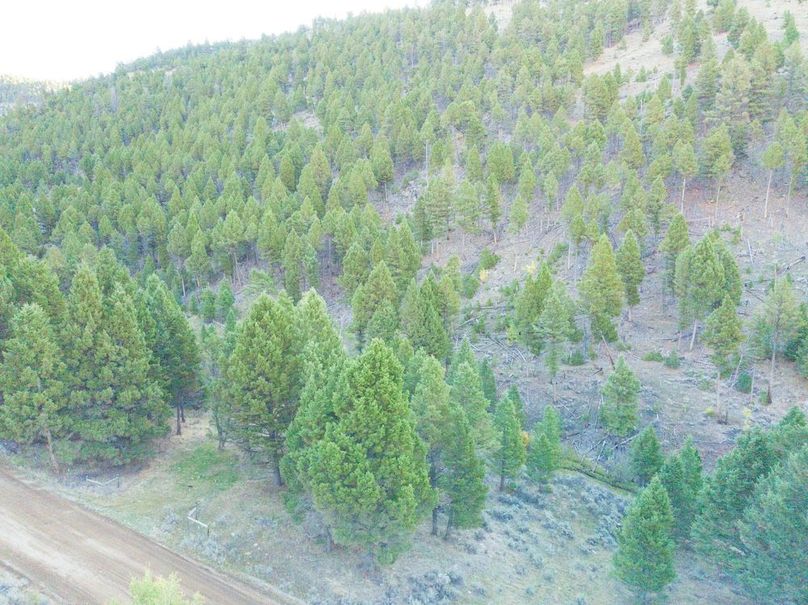 20240925-DJI_0137