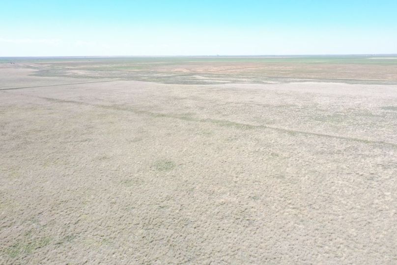 DJI_0660