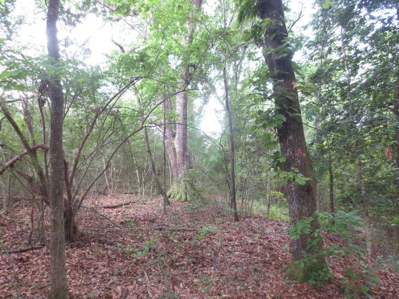 80BFAE03-7015-40A8-92CC-9B048DD82110_1_105_c