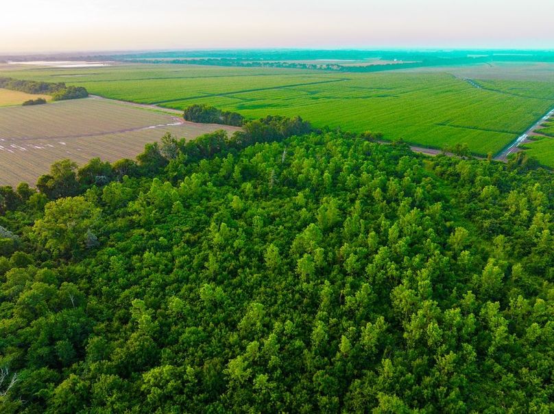 Copy of Noxubee 70 +- Tract 3-18