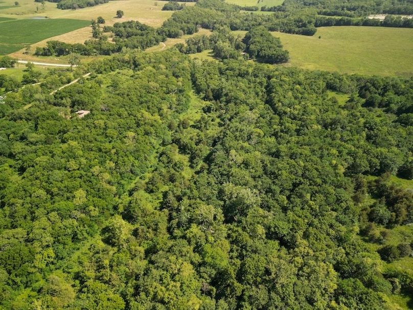 Creek Aerial