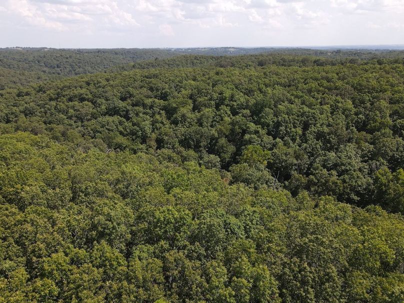 dji_fly_20250818_150456_652_1755547505987_photo