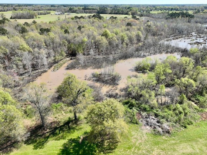 dji_fly_20260317_115908_425_1773763410738_photo