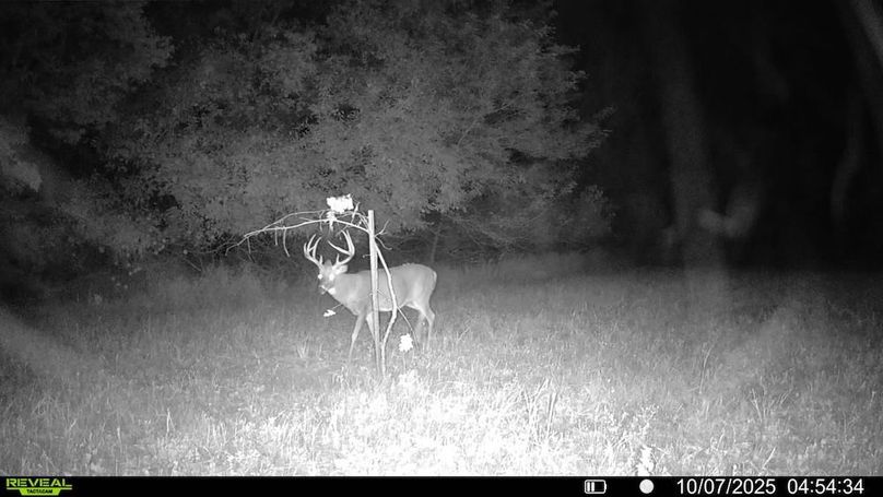 016579000173638-31-3-10072025045434-v-syfw08406