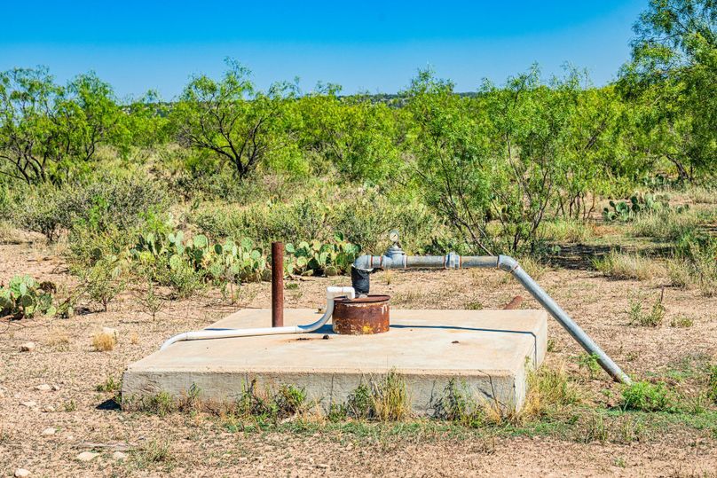 27-web-or-mls-DSC08554