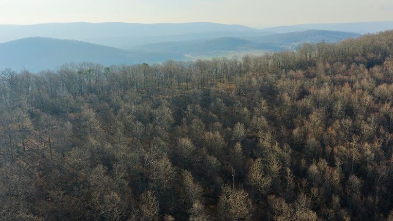 Copy of Hampshire WV 200 Featured_Pro Photo-69