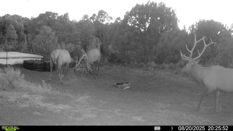 016578004060205-100-2-08202025202552-V-SYFW00019