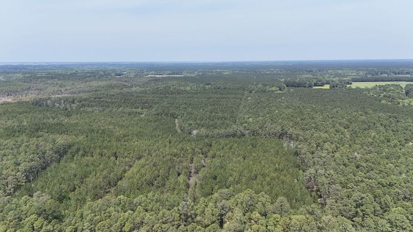 dji_fly_20250424_133516_0029_1745526001390_photo