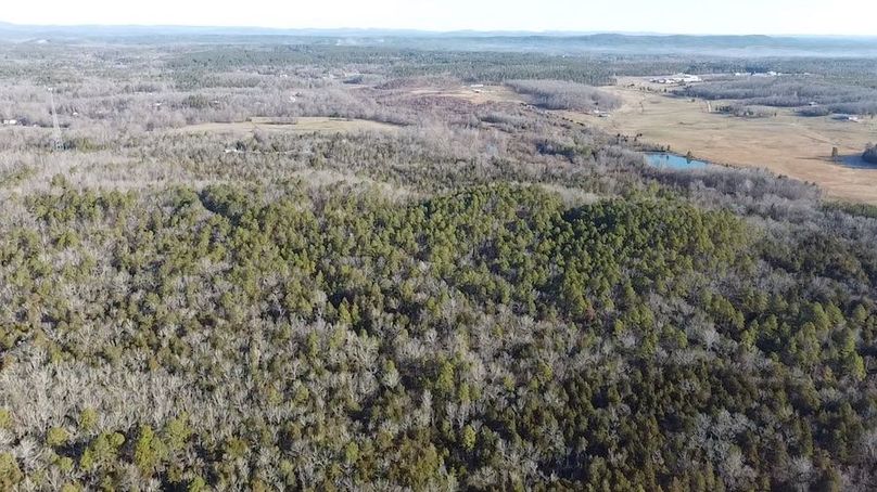 2024-02-06-09-05-55-536