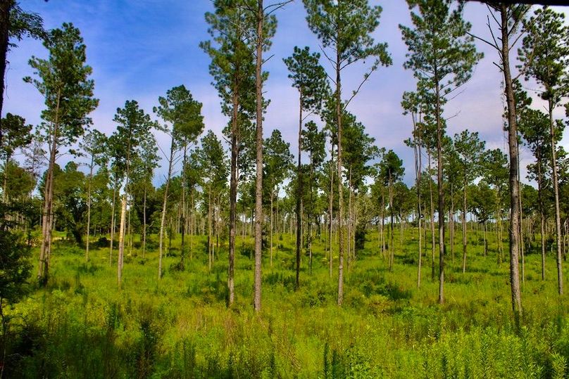 2F4583C5-5C01-4D8C-B1F4-DD902B4500CF_1_105_c