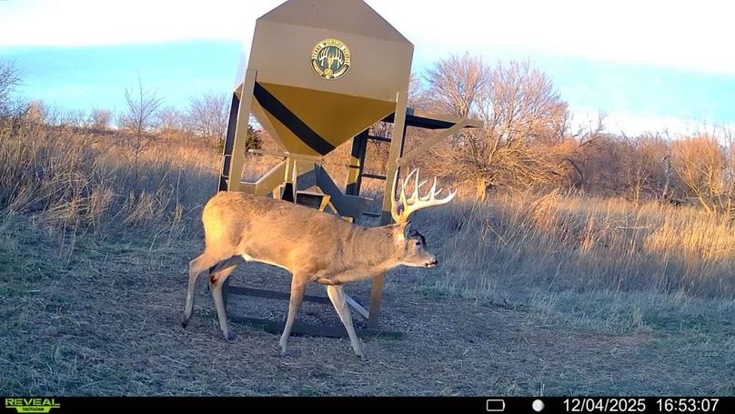 016578004041353-3-4-12042025165307-V-SYFW17260