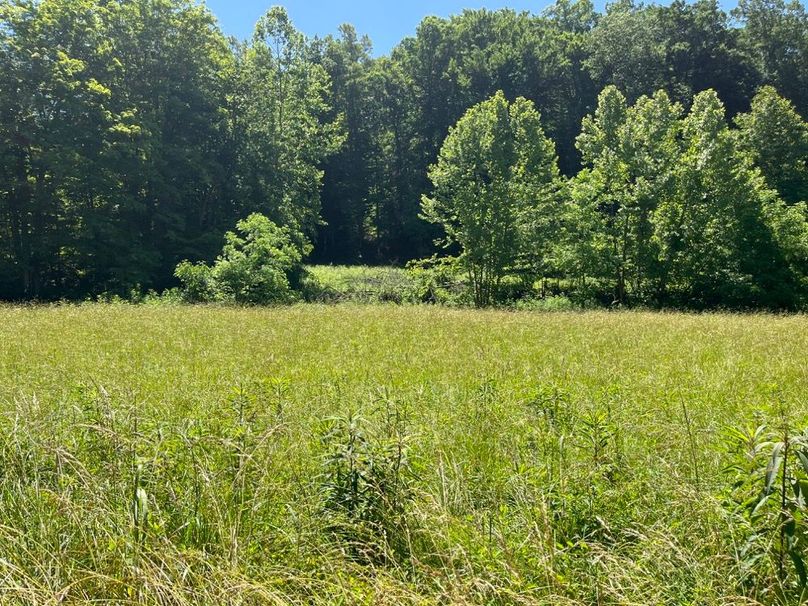 009 view of the smaller field in the summer time-2