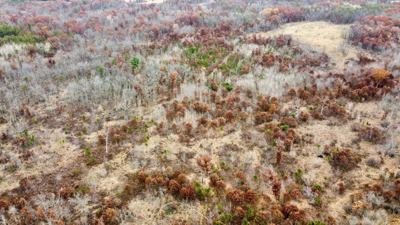 dji_fly_20231105_092628_749_1699198354564_photo_optimized 2